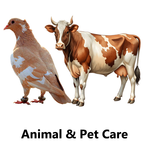 Animal & Pet Care